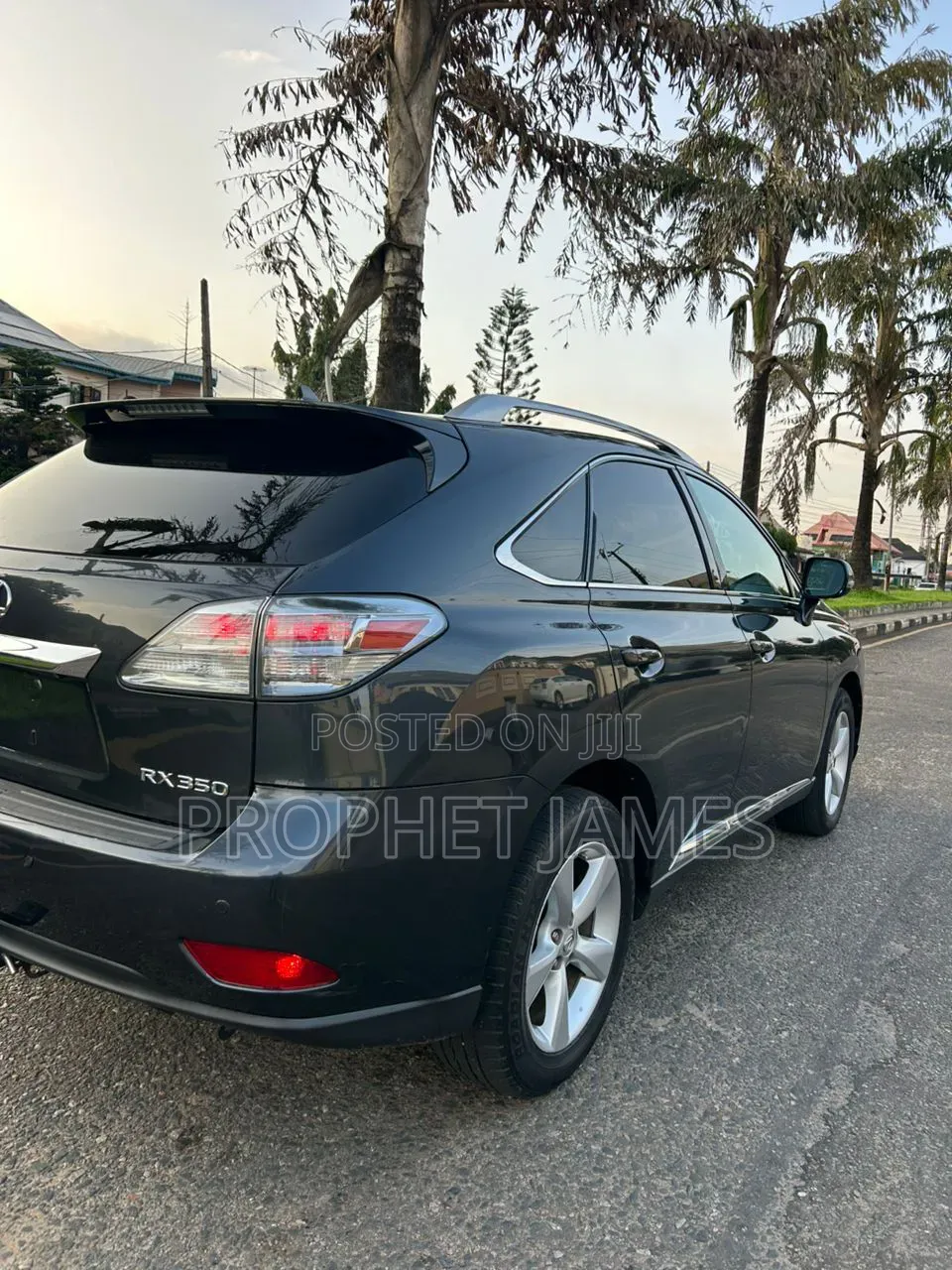 Lexus RX 2010 Gray