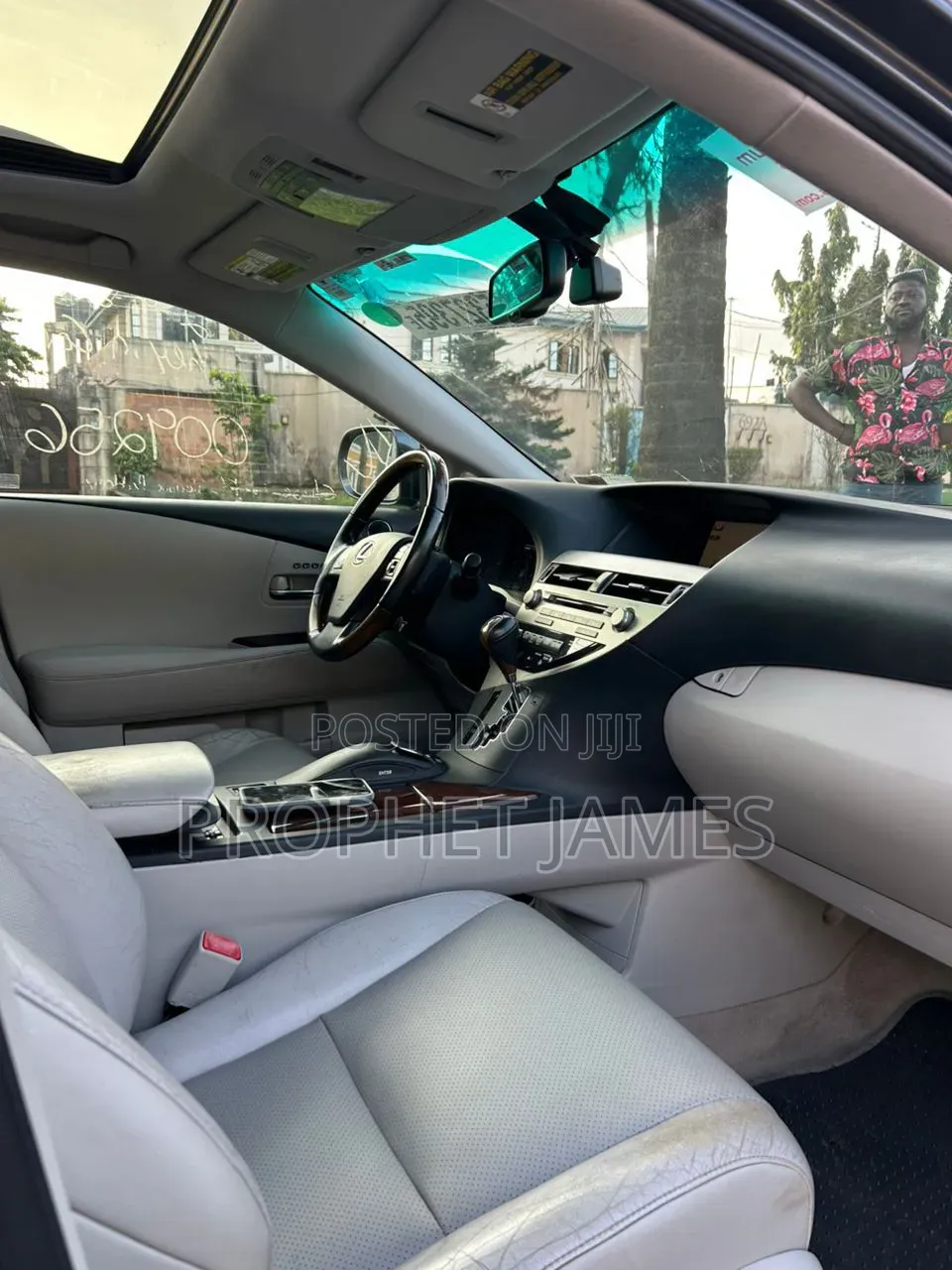 Lexus RX 2010 Gray