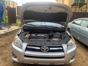 Toyota RAV4 2010 Silver