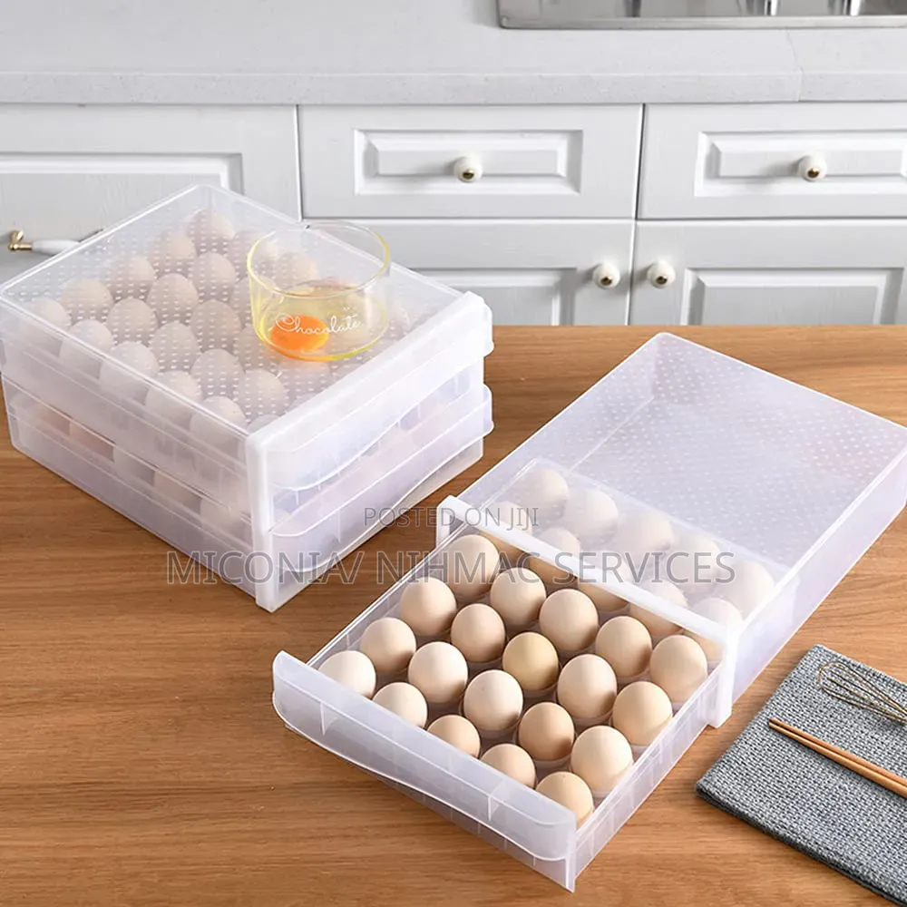 60-Egg Storage Rack
