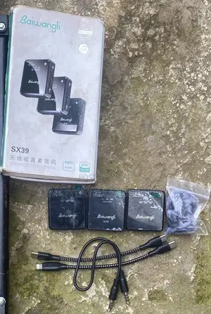 Baiwangli SX39 Wireless Mic Kit