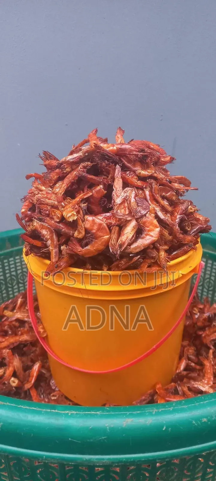 Fresh Prawns