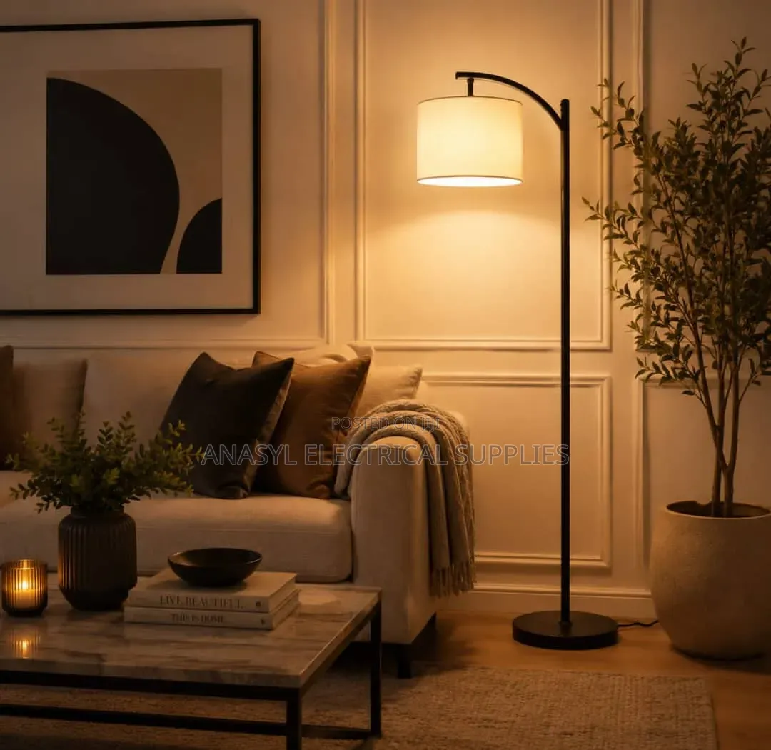 Minimalist Arc Floor Lamp