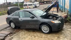Toyota Camry LE 4dr Sedan (2.4L 4cyl 5A) 2009 Gray