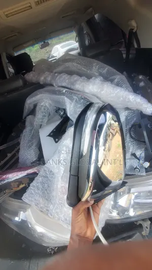 Hilux Side Mirror 2018