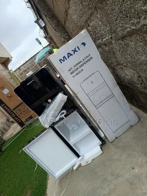 Fast Heating, Powerful Cooling: Maxi 1663s-W Water Dispenser