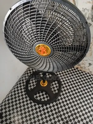 Standing Fan