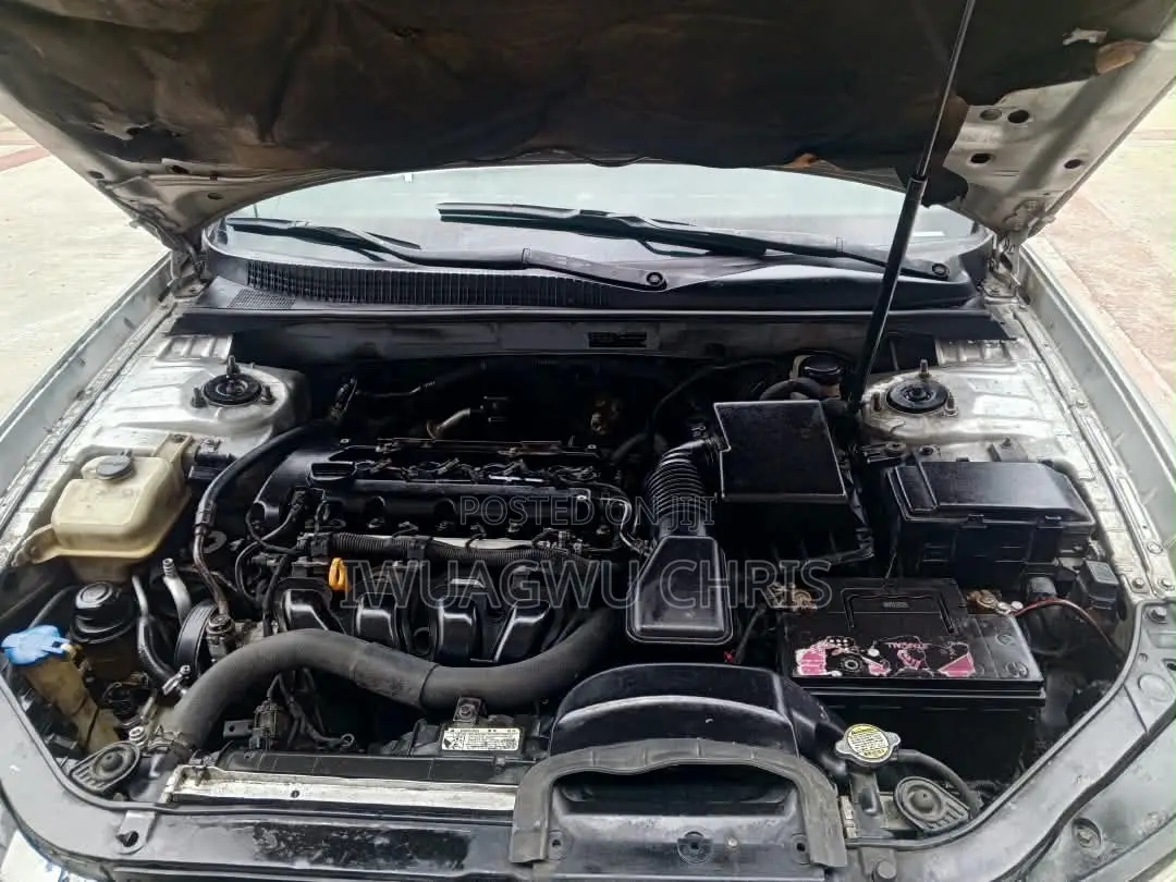 Hyundai Sonata 2010 Silver