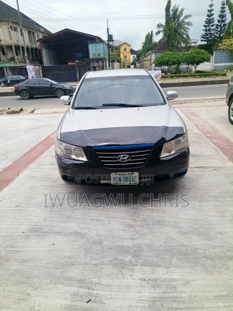 Hyundai Sonata 2010 Silver