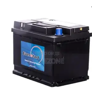 Everstart CMF80L 80Ah 12V Sealed Calcium MF Car Battery