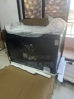 300 Liters Low Voltage Wanbao Deep Freezer With 2 Years Warranty