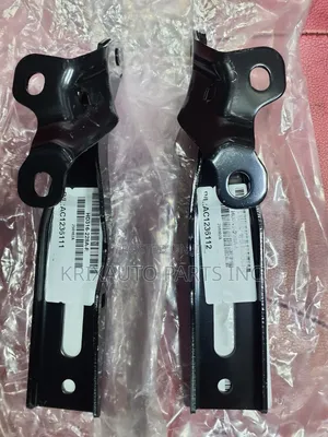 Bonnet Hinges for TLX 2018