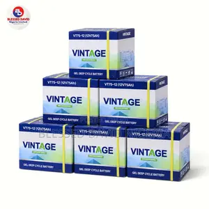 Vintage 12V 75Ah Deep Cycle Battery