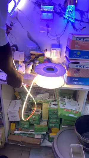 Electrician and Painting