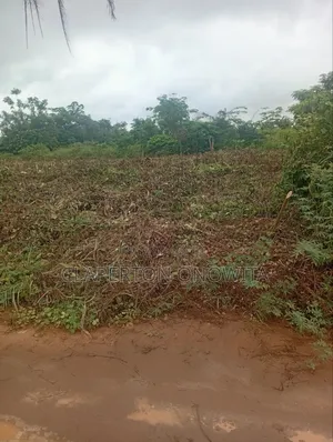 Good Quality Land 100 X 100