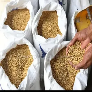 Maize Soybeans Supplier