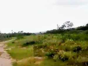 900 Plots for Sale in Ubakala Umuahia Abia State