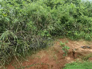 200 Plots of Land at Amenyi-Nibo by Ring Road in Awka Anambra State