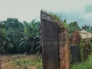 11⁄2 Prime Plots Fenced and Gated, on the Road for Sale