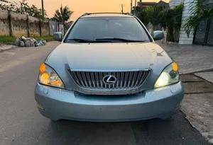 Lexus RX 2007 Gray