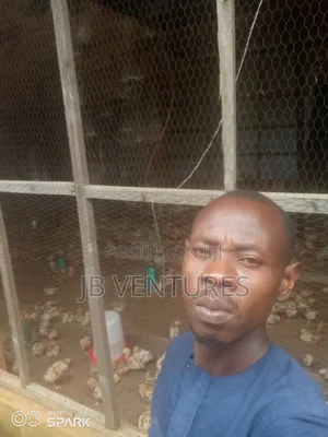 Private Brooder