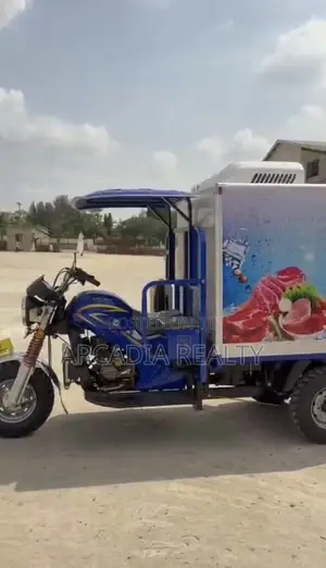 New Tricycle 2026 Blue