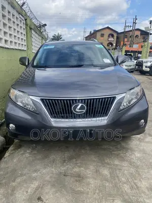 Lexus RX 2011 Gray