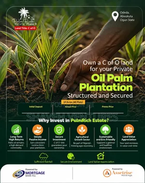 Oil Palm Plantation for Sale
