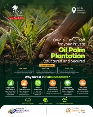 Oil Palm Plantation for Sale