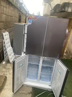SKYRUN 450L Home Storage Fridge