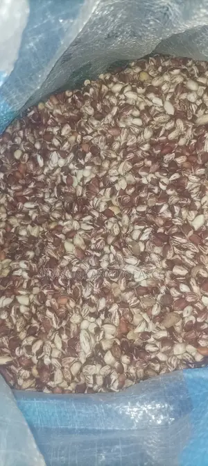 Kampala Groundnut