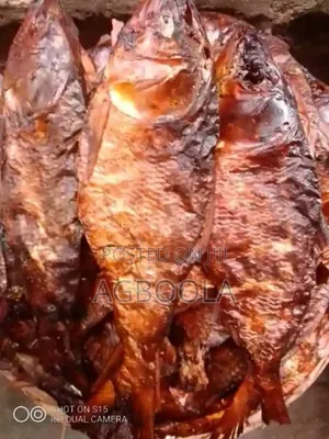Sea Food Concept