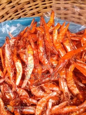 Sea Food Concept
