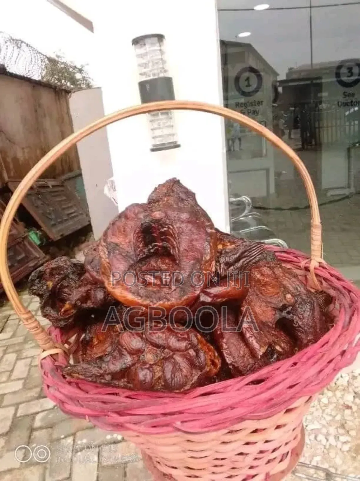 Sea Food Concept