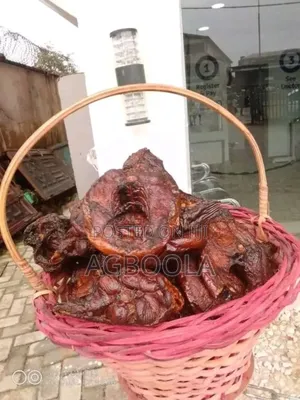 Sea Food Concept
