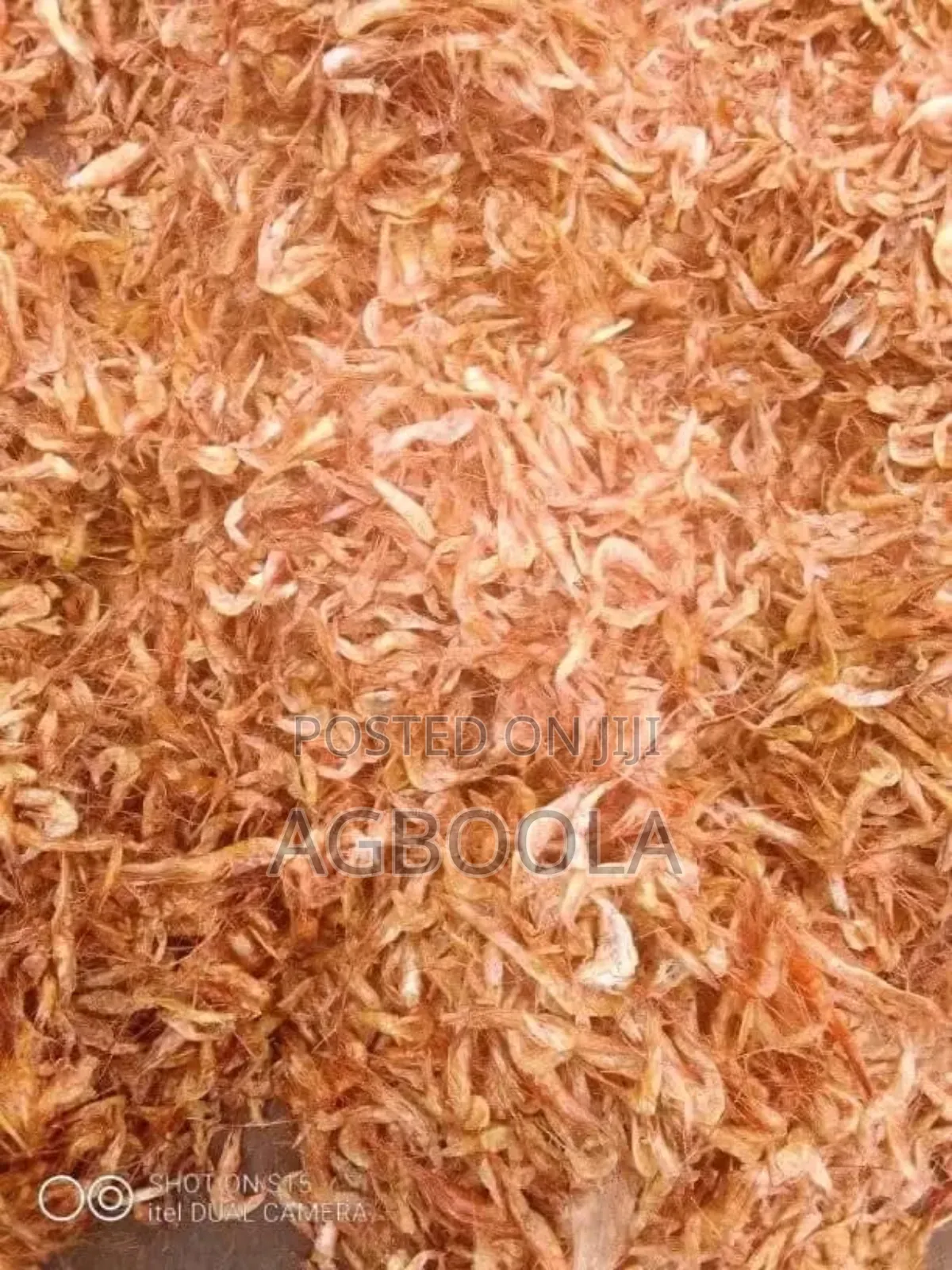 Sea Food Concept