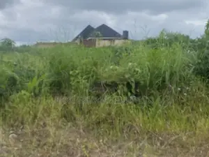 Plots of Land for Sale at the Back of New Government House Umuahia