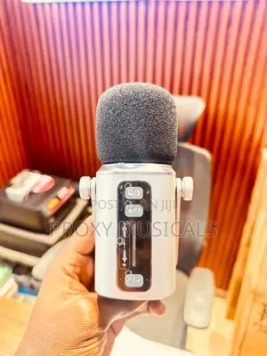 Professional Broadcast Dynamic Podcast Microphone