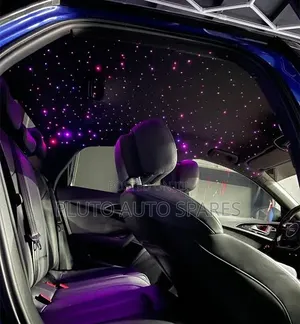 Car Interior Roof Light Star Led for All Vehicles