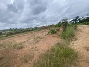 890 Plots of Land for Sale at Ubakala Umuahia (Bulk Deal)