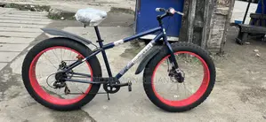 Mongoose Fat Tyre Bike