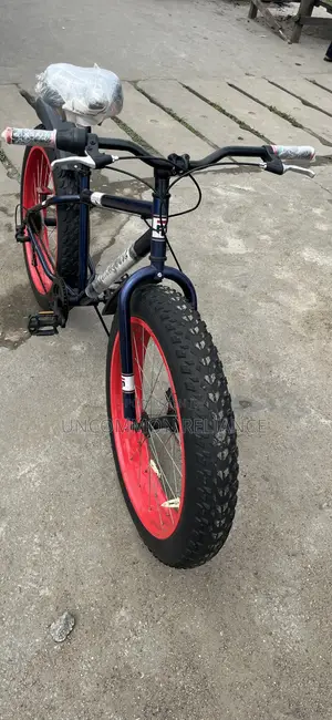 Mongoose Fat Tyre Bike