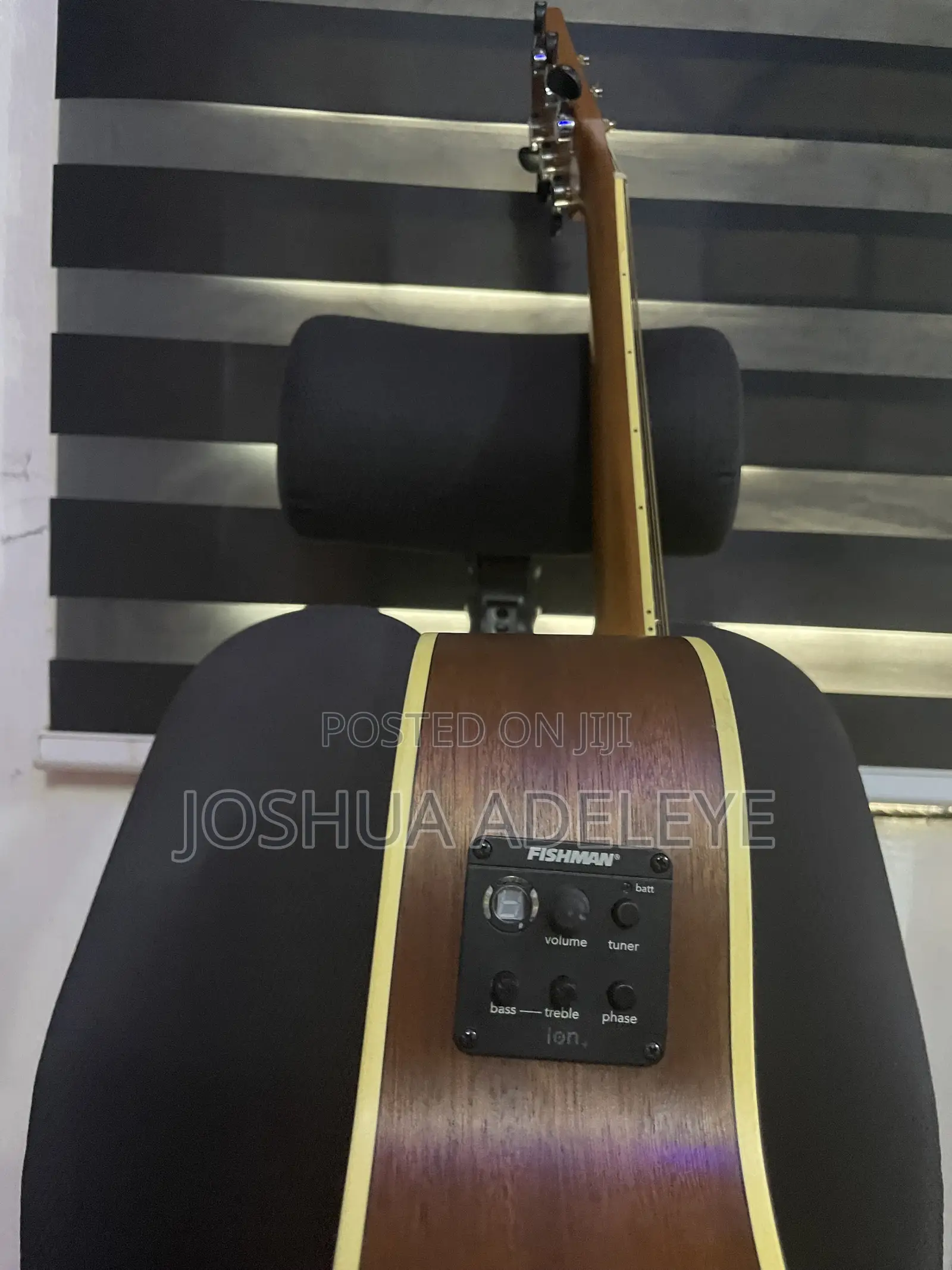 Semi Acoustic Guitar