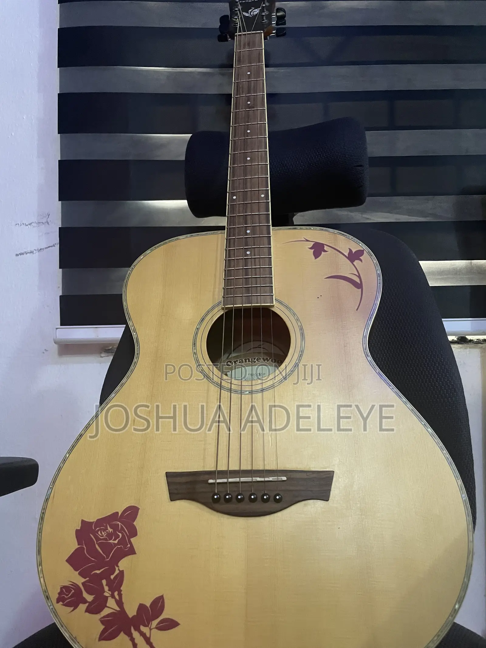 Semi Acoustic Guitar