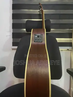 Semi Acoustic Guitar