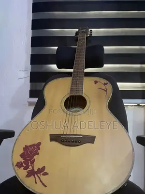 Semi Acoustic Guitar