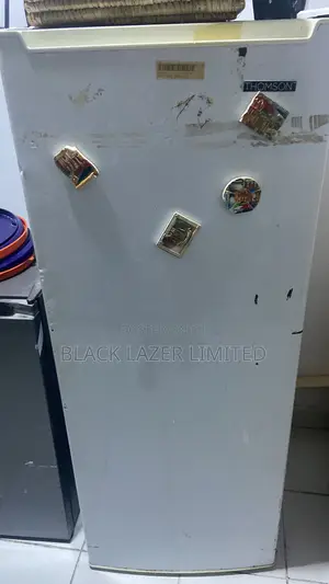 Thompson 5-Drawer Standing Freezer