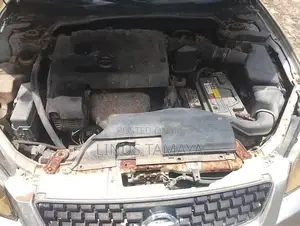 Nissan Altima 2005 Gray