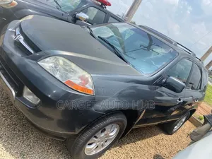 Acura MDX 2004 Gray