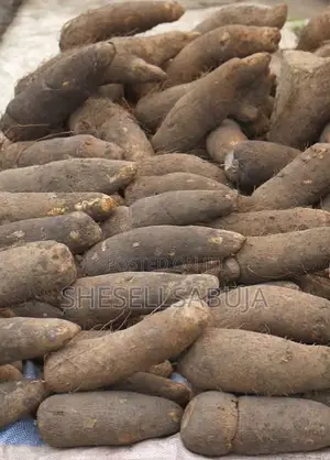 Foodstuffs
